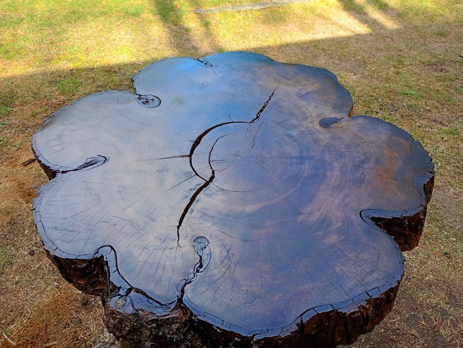 Stolik kawowy kasztanowiec śr. 90 cm gr.7 cm