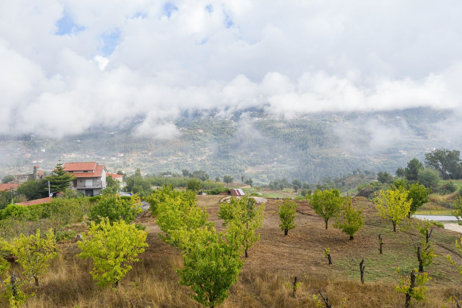 Terreno para construção com projecto