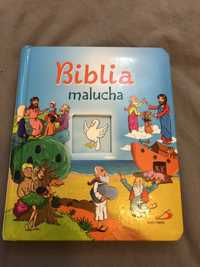 V biblia malucha święty Paweł książka dla dzieci