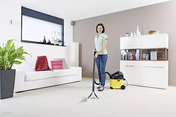 Миючий пилосос, для сухого прибирання Karcher SE 5.100