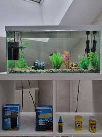 Akwarium 54l z wyposażeniem i rybkami