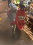 Mota Gilera typhoon 50