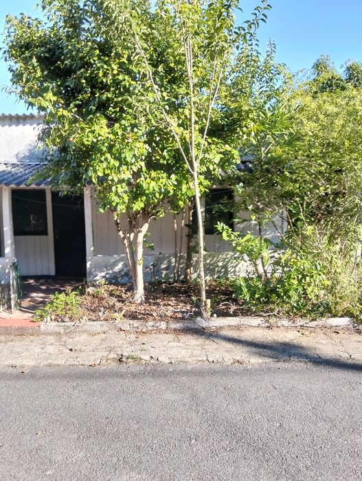 Casa de madeira pré fabricada