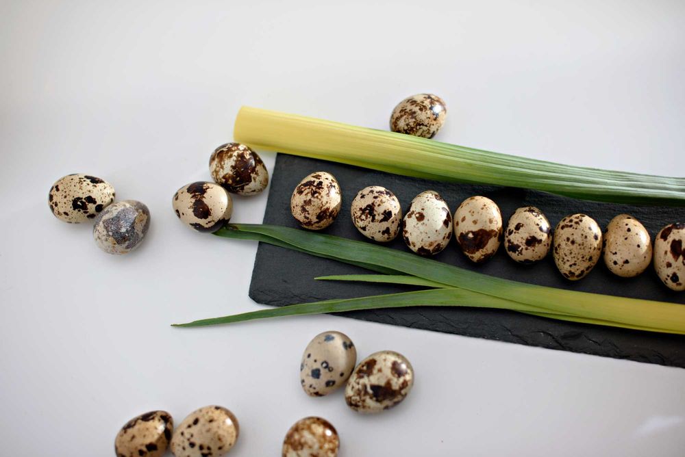 Перепелині яйця з власної ферми