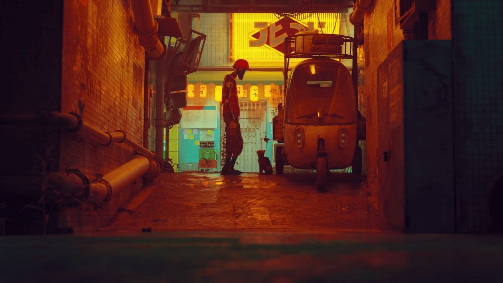 Stray PL (PS5) Gra nowa w folii