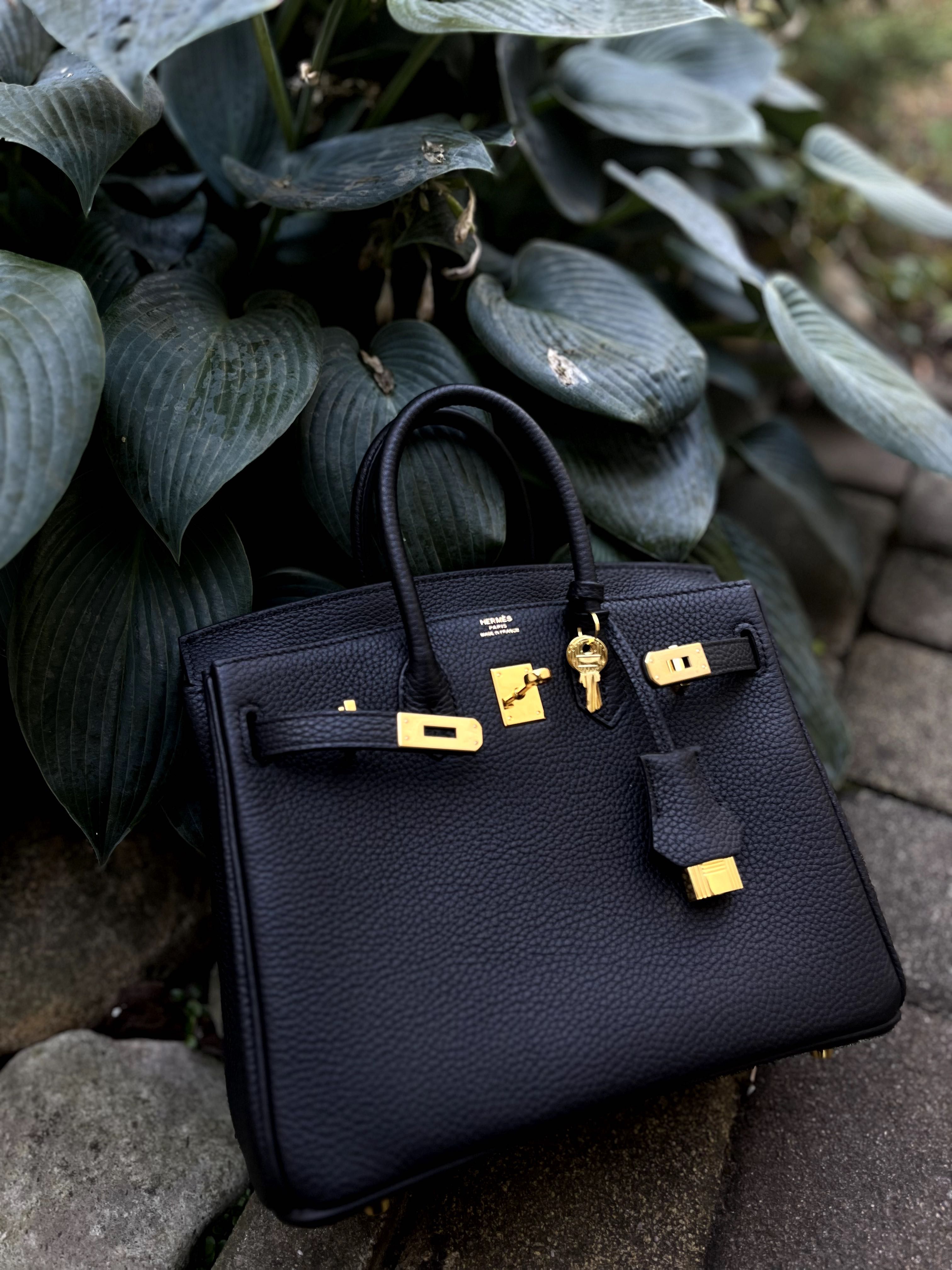 Сумка Hermes Birkin 25