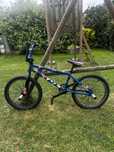 BMX, pegi, jazda wyczynowa, rower