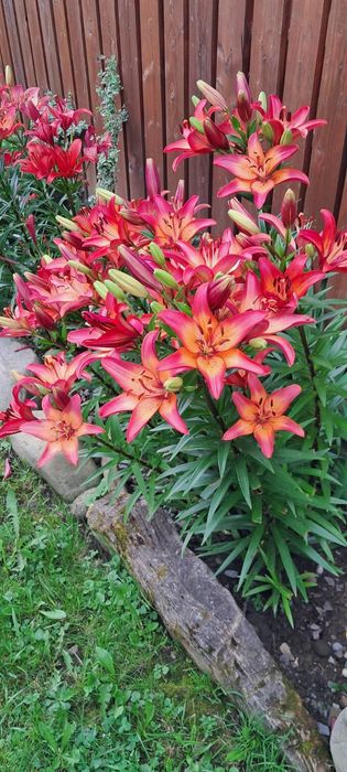 Відпочинок у Ворохті "Сімейний котедж"