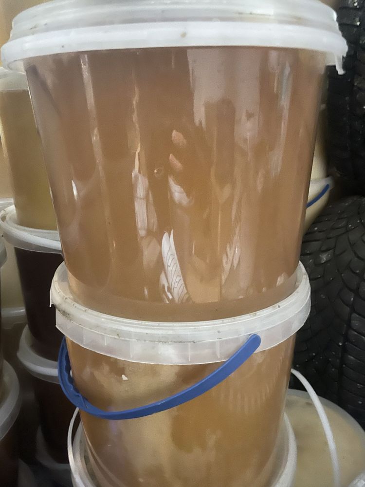 Продам лісовий і гречаний мед і в сотах, пилок