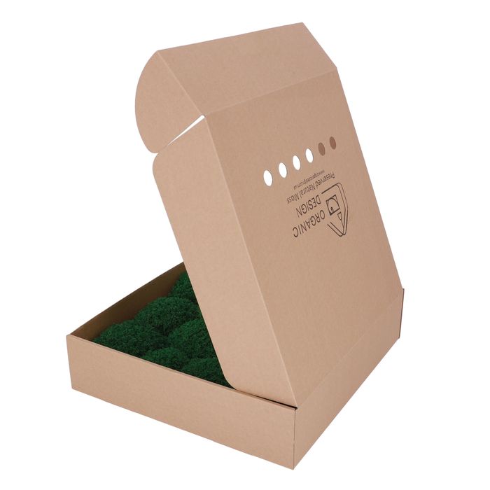 Стабилизированный Мох. Искусственный Мох