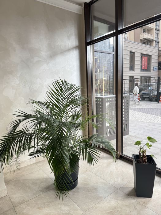 1 комнатная квартира в ЖК Родос в Аркадии