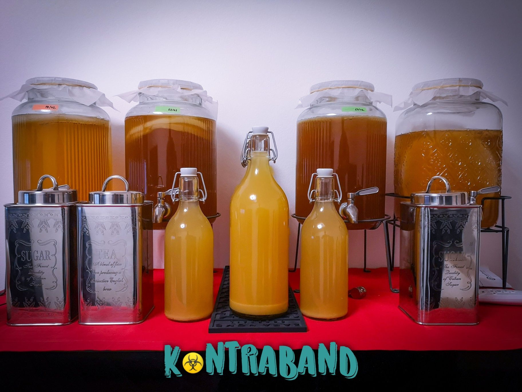 !!! KOMBUCHA !!! Scoby Kontraband®+300ml starter c/ PEDIGREE