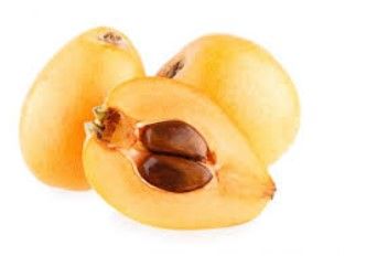 Nespereira (Eriobotrya japonica) - Planta em vaso - Desde 10€