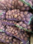 Продам картоплю домашню без хімії