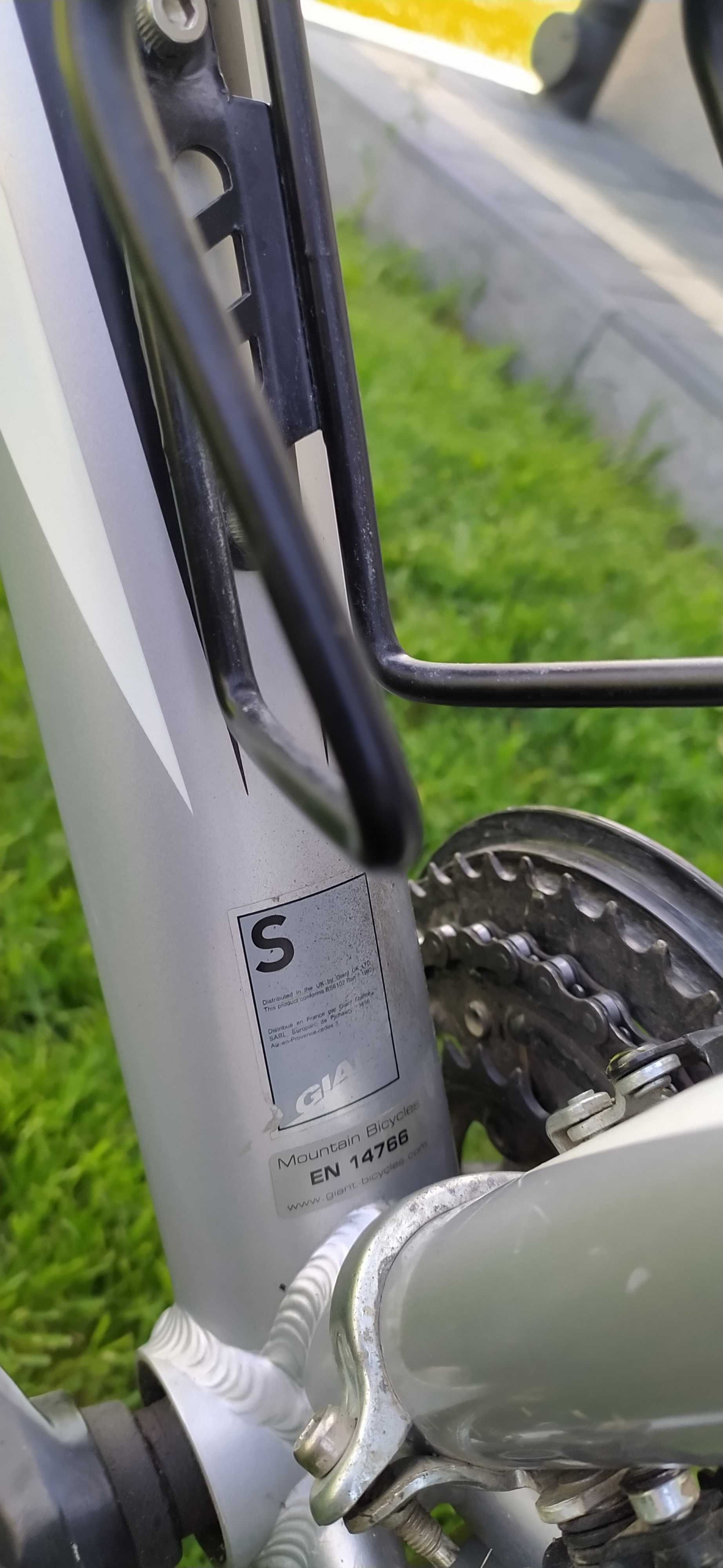 Rower GIANT REVEL rama S