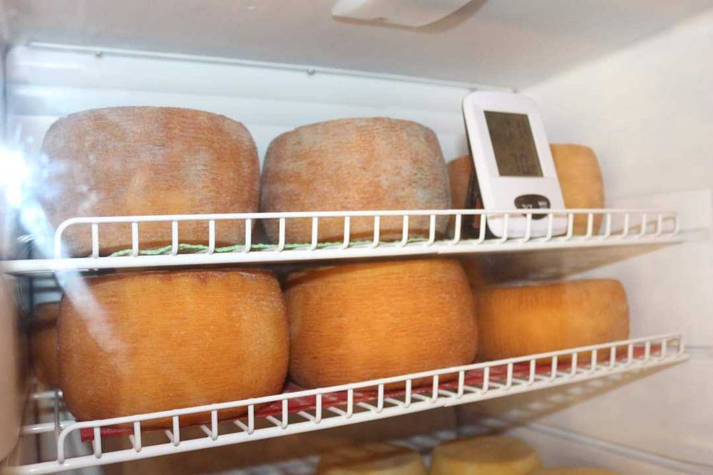 Камера для созревания сыра