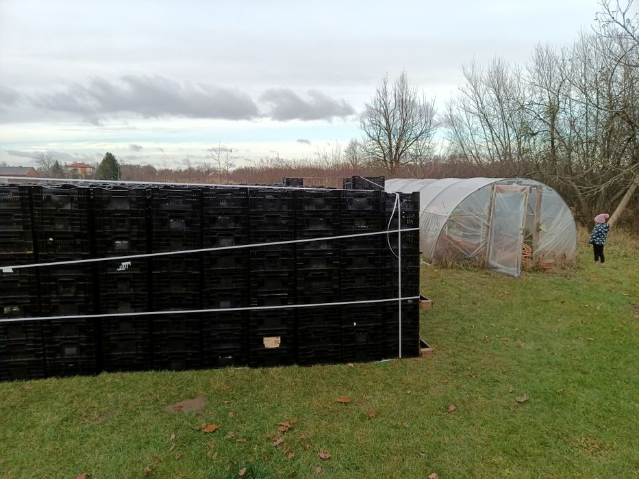 Skrzynki plastikowe holenderki na warzywa  owoce transport 60x40x24