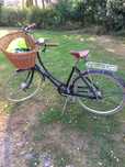 Rower damski Pashley