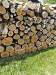 drewno opałowe liściaste brzoza 11,5 m3