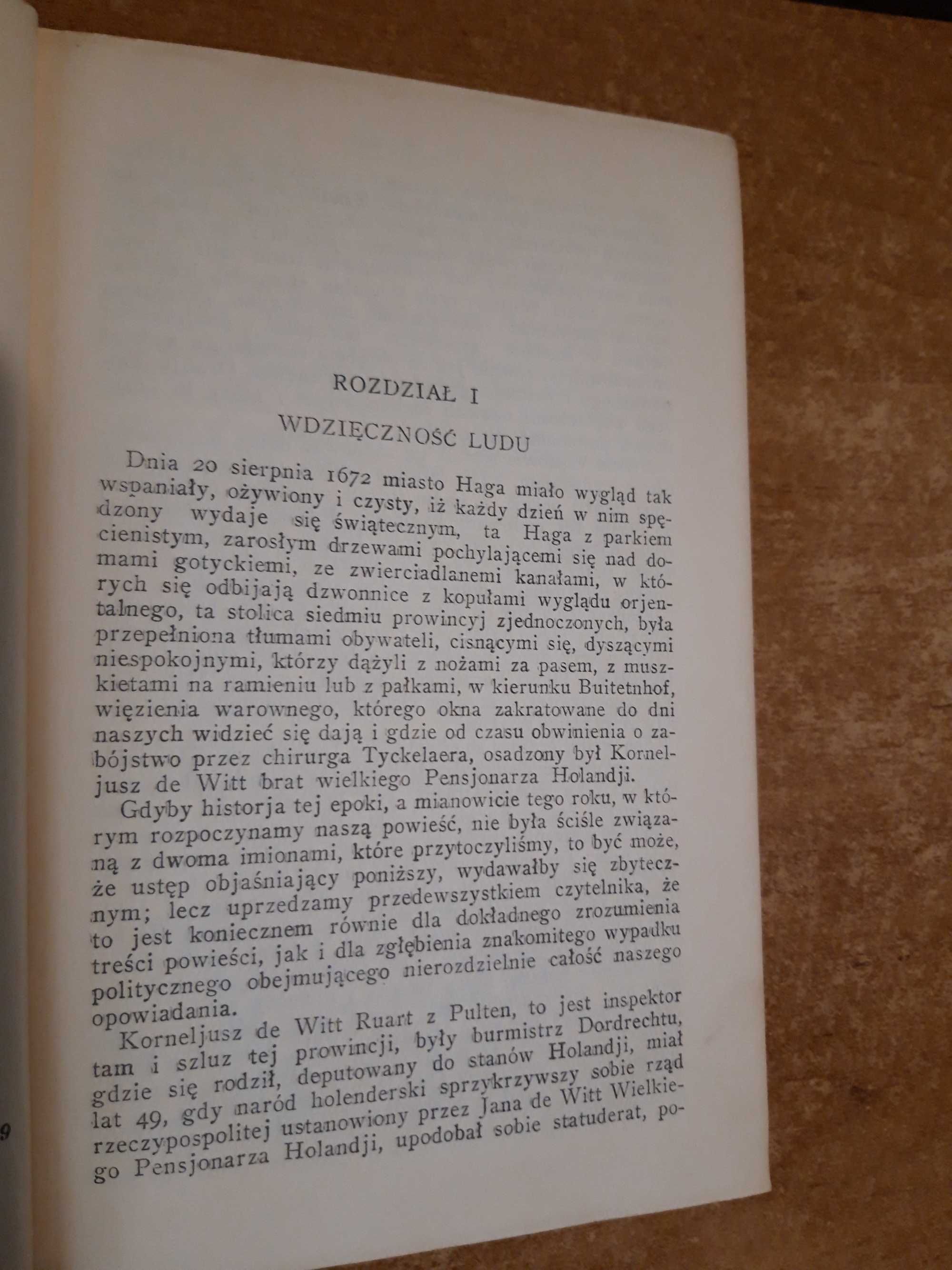 CZARNY TULIPAN- DUMAS 1928, opr..ilustr., Pierwodruk