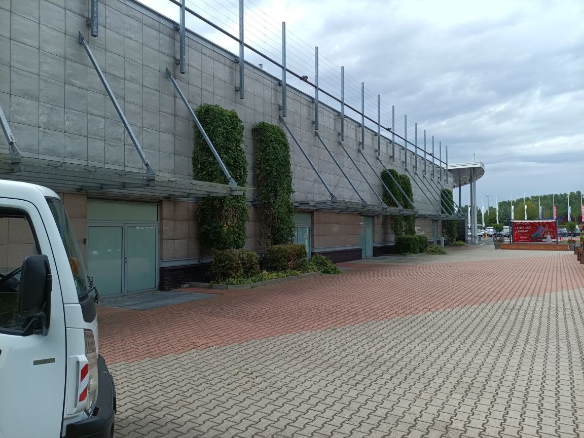 Przycinanie-chirurgia-drzew-żywopłotów i innych
