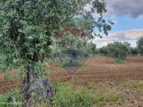 Terreno  para venda