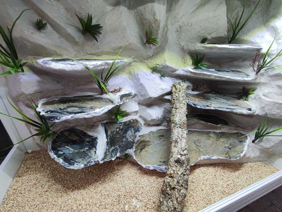 Terrarium pustynne nr654 130/60/90 dla agamy brodatej NA ZAMÓWIENIE