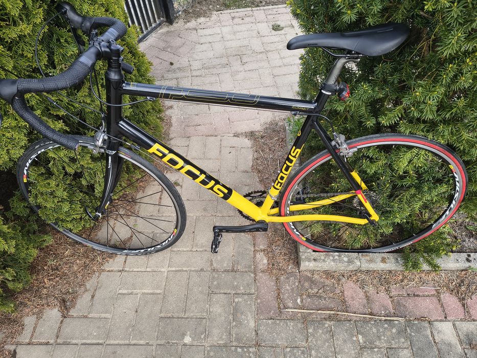 Rower szosowy Focus