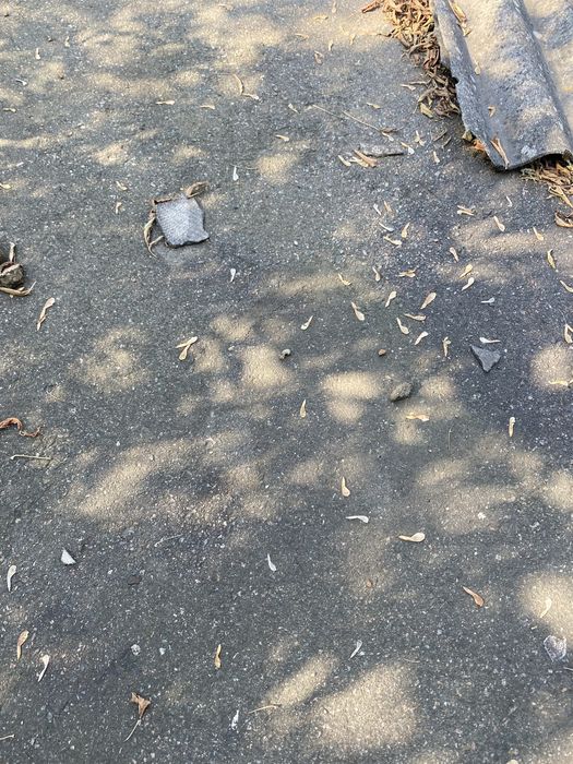 Майновий комплекс будівель 2750 м.кв