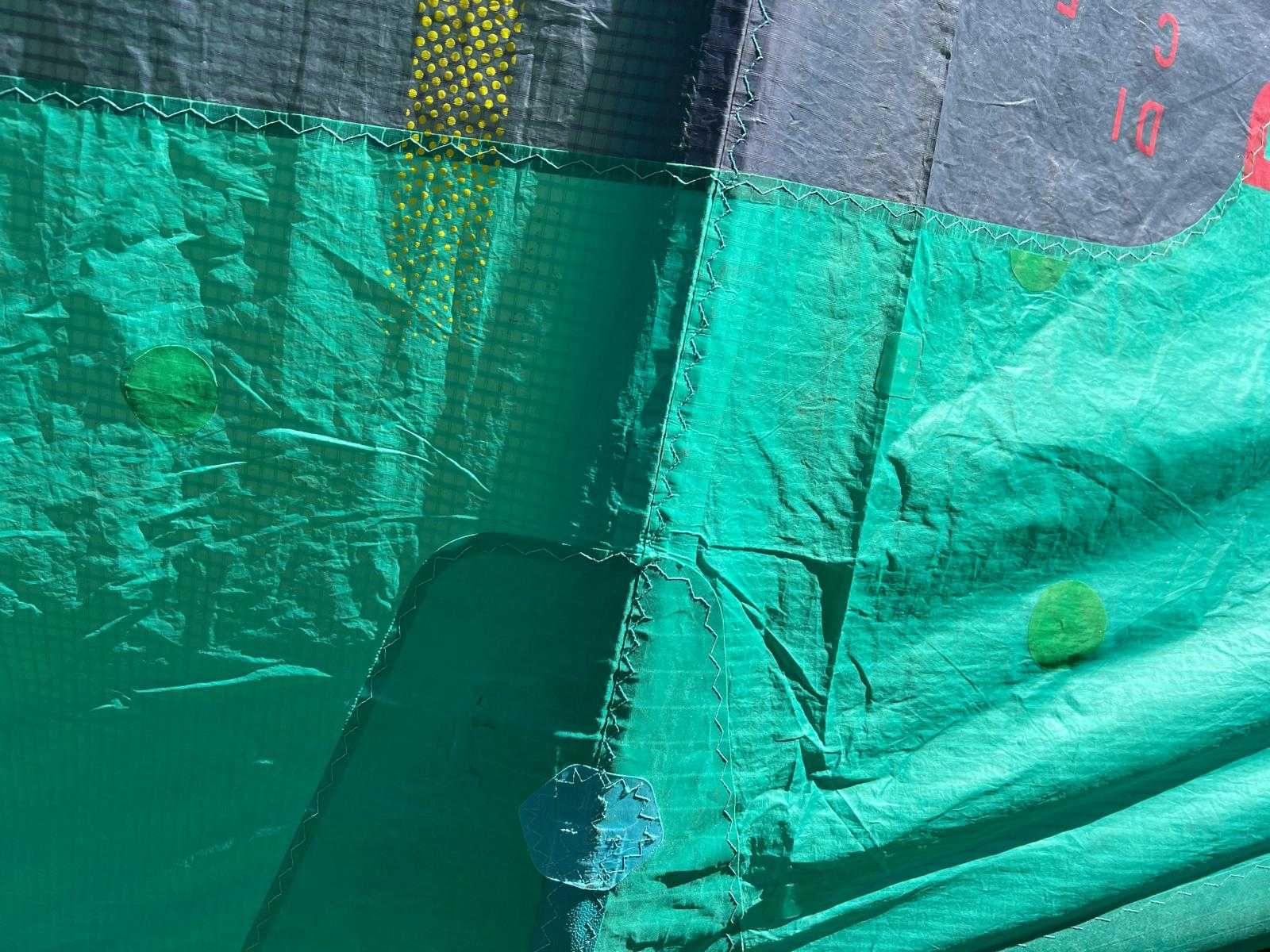 Kite Duotone DICE 12m