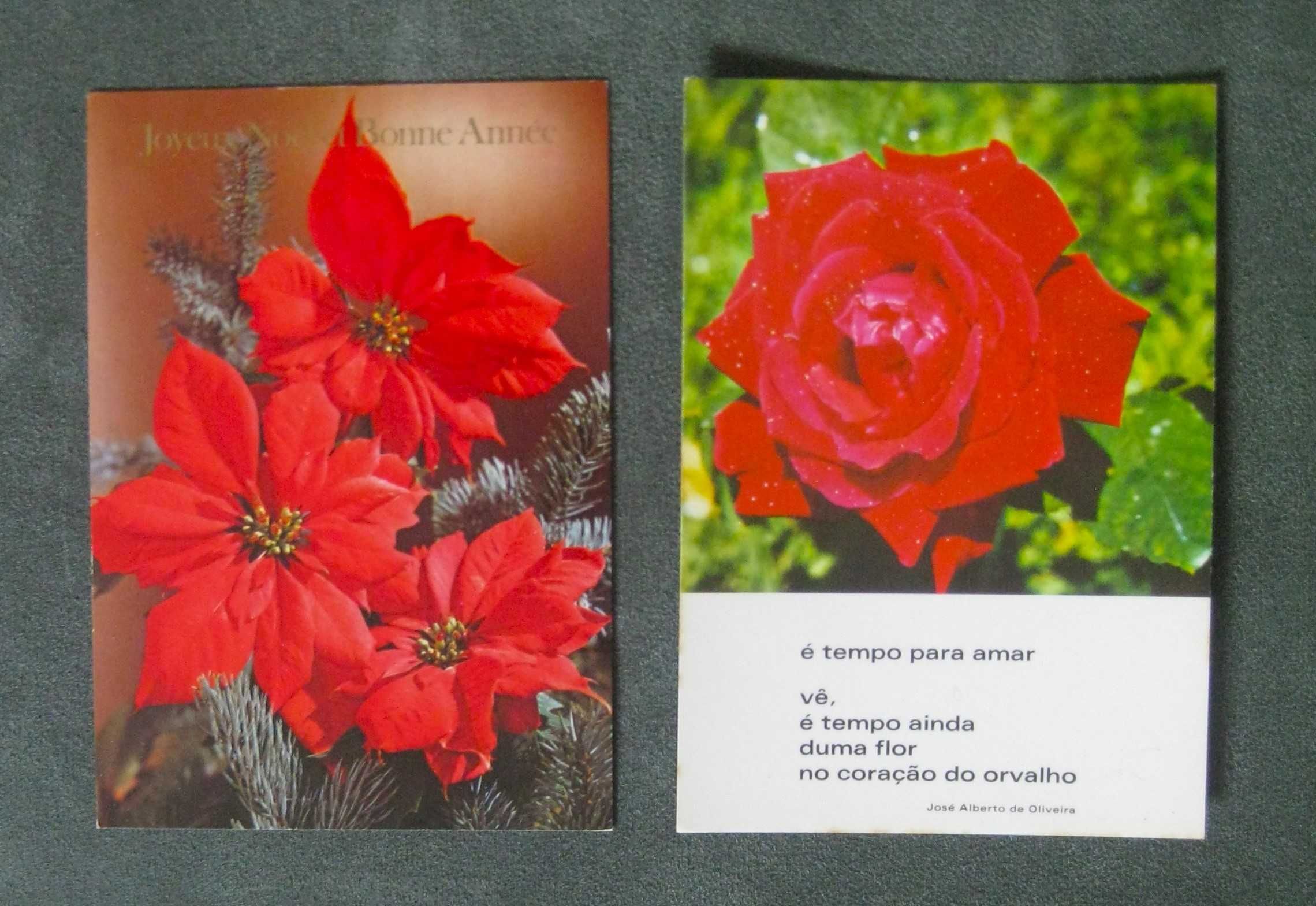 Conjunto de 7 Bilhetes Postais Rosas e Mais Flores