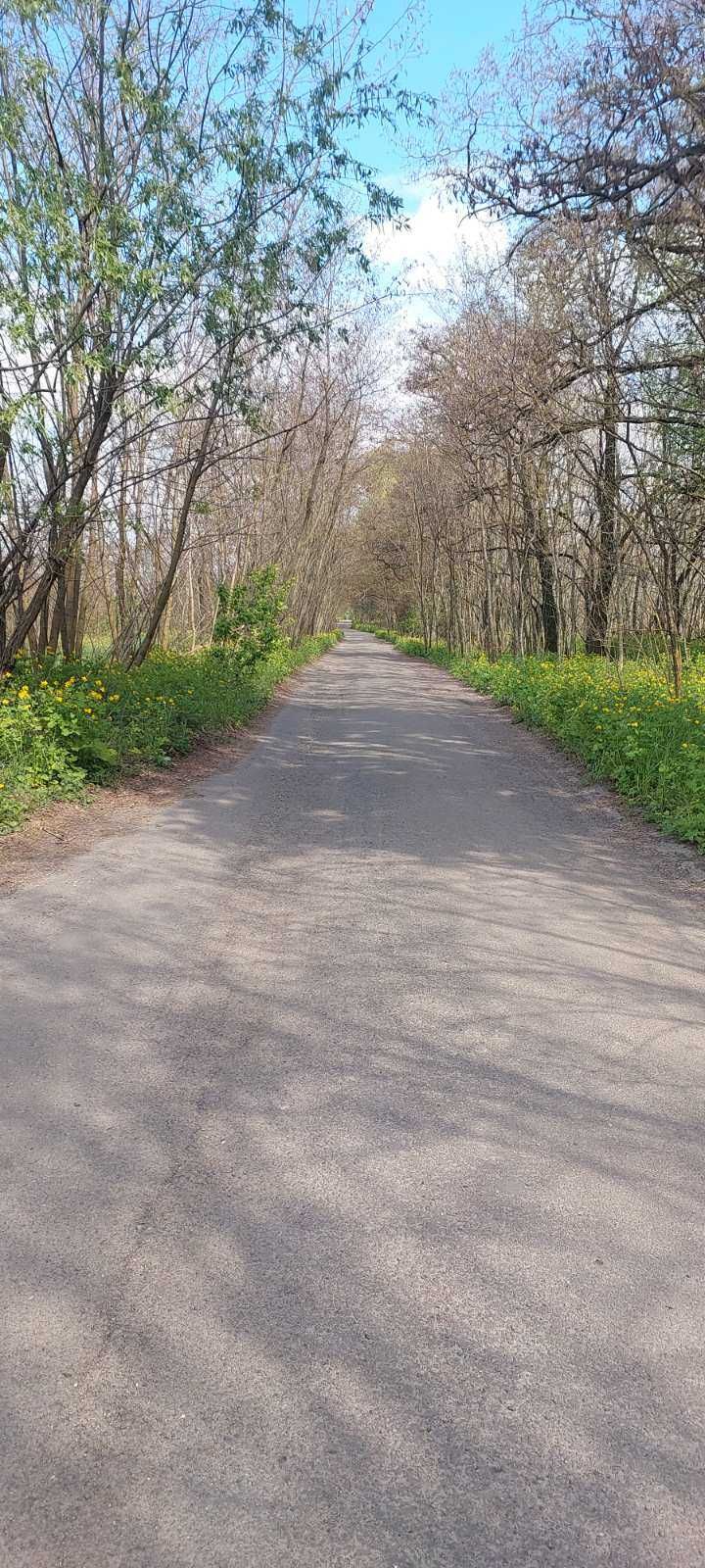 Ясногородка, 30 соток для будівництва. Поруч море і ліс