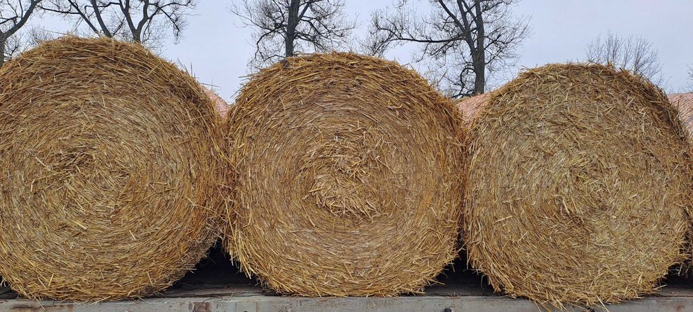 Witam sprzedam słomę.