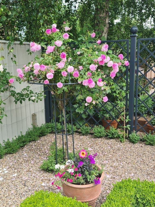 зонтик грибок опора для роз  троянд  клематисов вьющихся и штамбовых