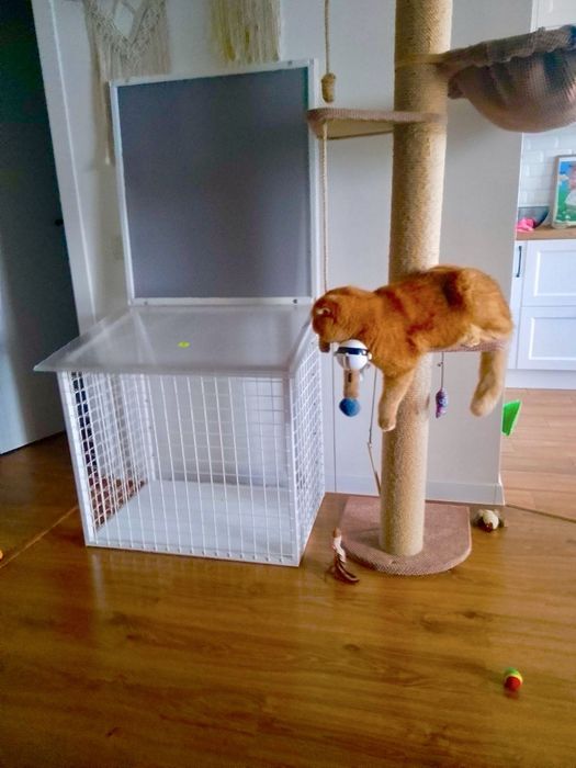 Балкон на пів стулки вікна для котиків