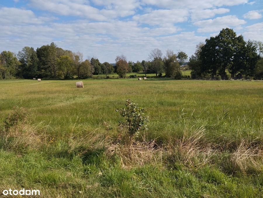Działki w Chotkowie gm. Brzeźnica