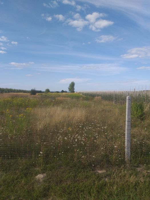 Pole orne, cena 140000