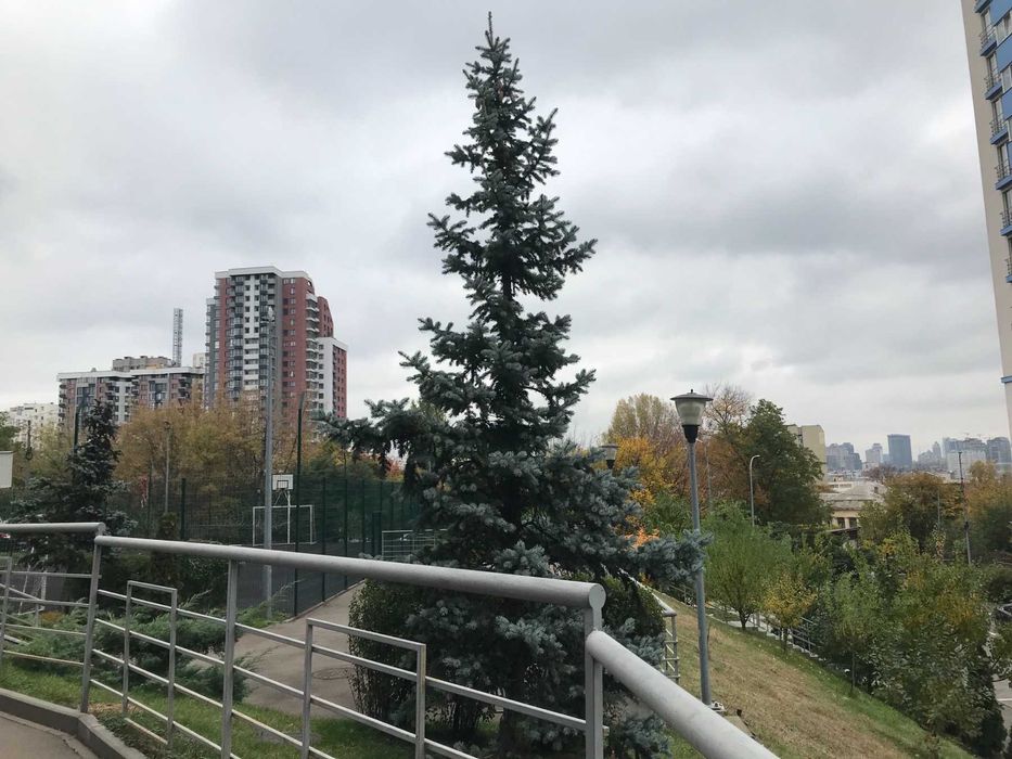 Квартира в коттедже ,ст.метро "Демеевская"