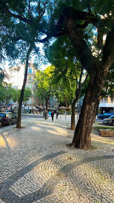 Seviço de Limpeza : personalizado / ao dia e por hora