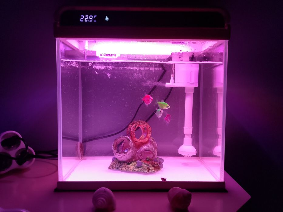 Akwarium na sprzedasz wszystko co na zdj w bardzo dobrym stanie jak no