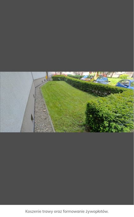 Koszenie trawy, Wycinka drzew