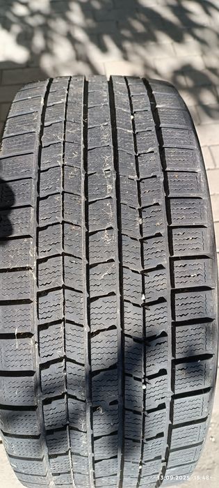 Продам один скат