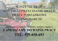 Koszenie traw, prace gospodarcze, porządkowe i ogrodnicze