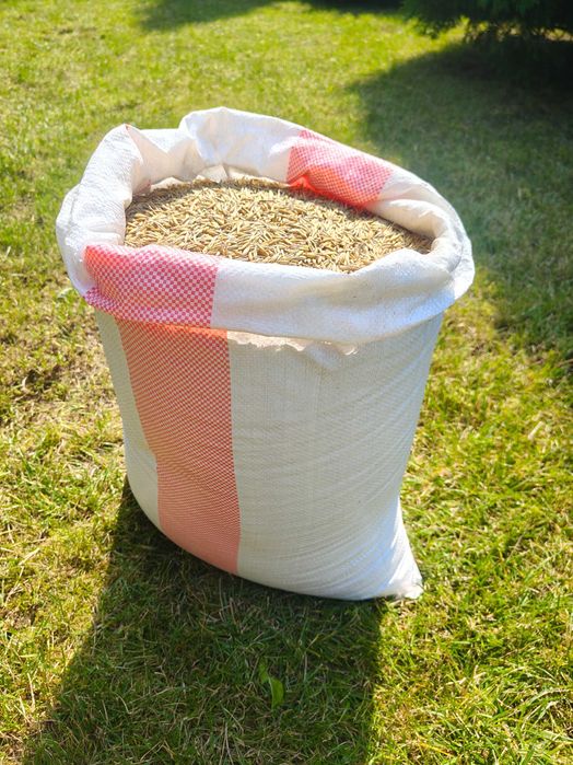 Owies 20 kg – Pasza Naturalna dla Koni, Królików, Drobiu, Gołębi