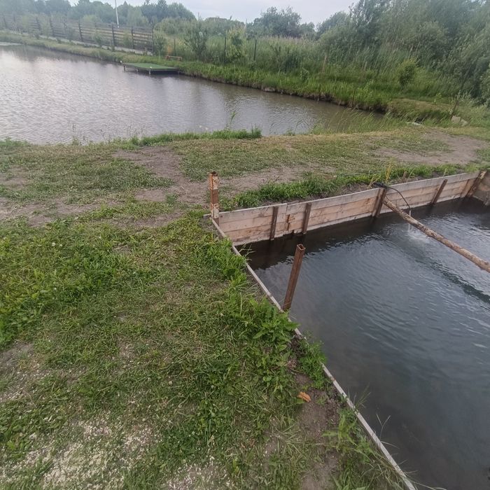 Жива форель . ..