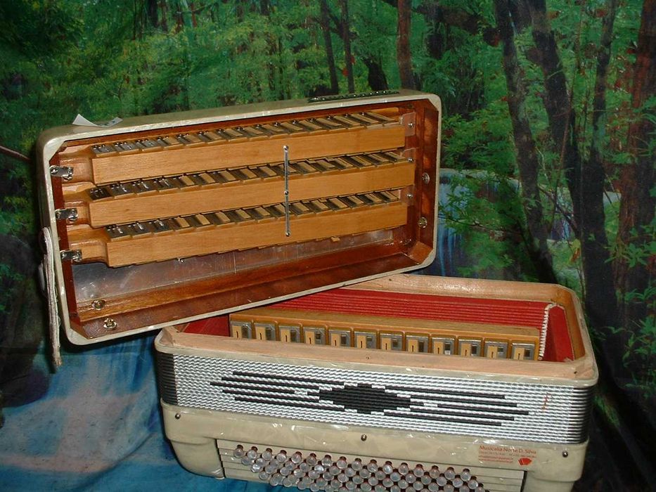 Acordeao Avenda G .750