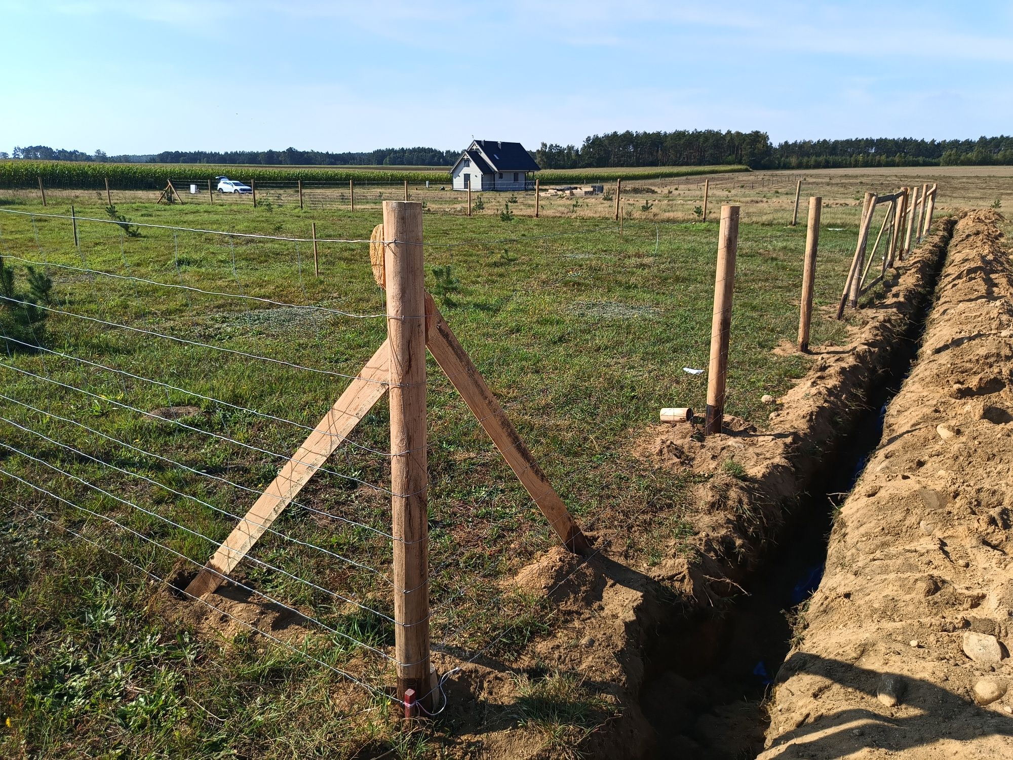 Ogrodzenie budowlane tymczasowe leśne już 16 zł. mb. Płock