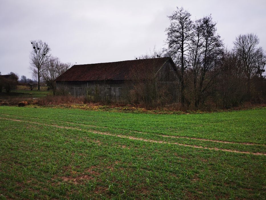 Siedlisko, gospodarstwo, działka budowlana w spokojnej okolicy, Warmia