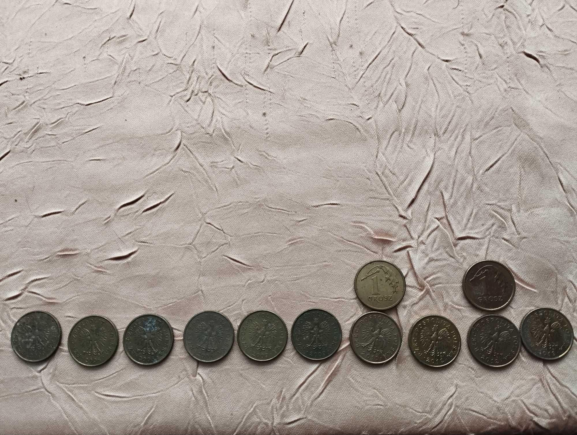 Monety 1 grosz - 12 sztuk