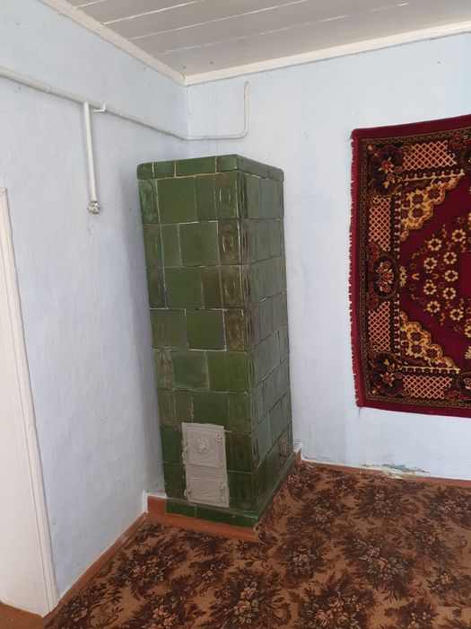 Будинок у с. Торговиця